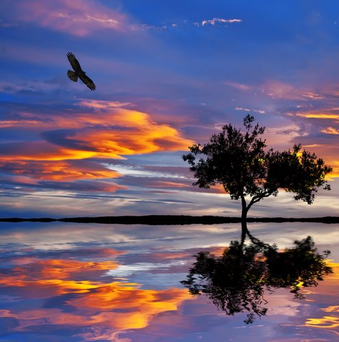 554872_485112811502690_686111579_n