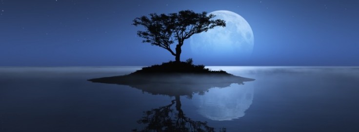 tree-sea-moon-reflection-island-stars-night-water-ocean-shadownature-315x851