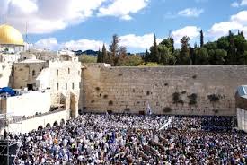 kotel
